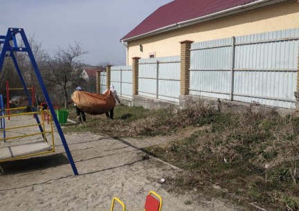 Працівники КЗ "Зарванецька гімназія" долучилися до акції «Будь справжнім європейцем - бережи довкілля!»