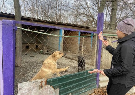 Учні 8 та 9 класу, відвідали притулок для тварин «Планета» у м. Вінниця.