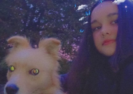 До Міжнародного дня доброти проведено урок "Щаслива лапа". Здобувачі освіти презентували світлини зі своїми улюбленцями