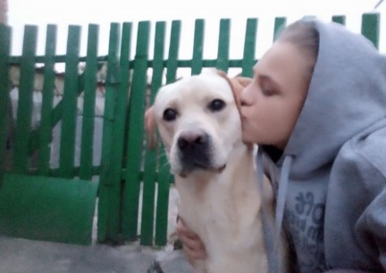 До Міжнародного дня доброти проведено урок "Щаслива лапа". Здобувачі освіти презентували світлини зі своїми улюбленцями