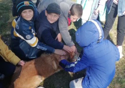 До Міжнародного дня доброти проведено урок "Щаслива лапа". Здобувачі освіти презентували світлини зі своїми улюбленцями