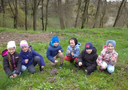 Як народжується олія? Які лікарські рослини ростуть біля нашої гімназії?