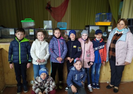 У світі живої природи