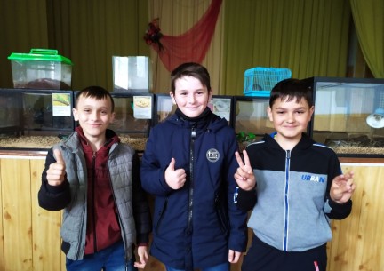 У світі живої природи