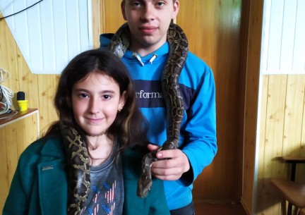 У світі живої природи