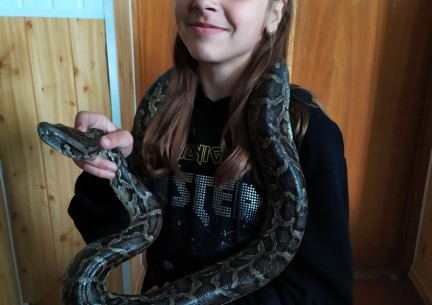 У світі живої природи