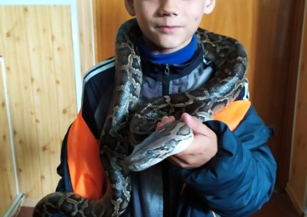 У світі живої природи