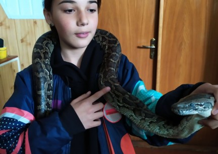 У світі живої природи