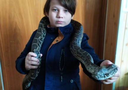 У світі живої природи