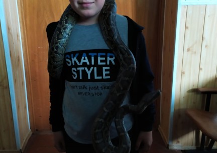 У світі живої природи