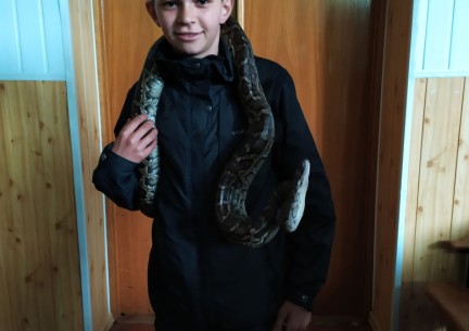 У світі живої природи