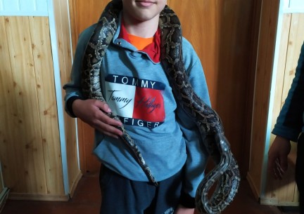 У світі живої природи