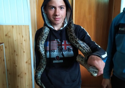 У світі живої природи