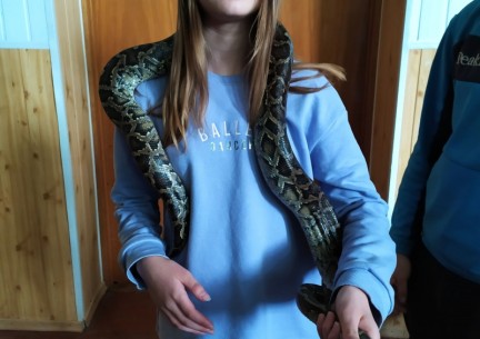 У світі живої природи