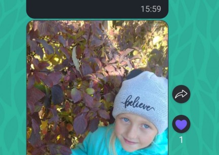 Сьогодні 10 листопада у 2 класі відбувся тематичний вечір : Краса української мови та поезії - окраса рідного краю восени!