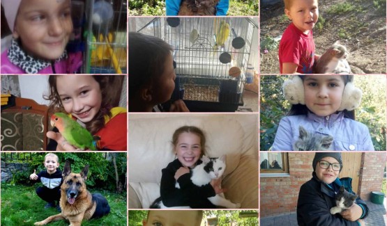 До Міжнародного дня доброти проведено урок "Щаслива лапа". Здобувачі освіти презентували світлини зі своїми улюбленцями