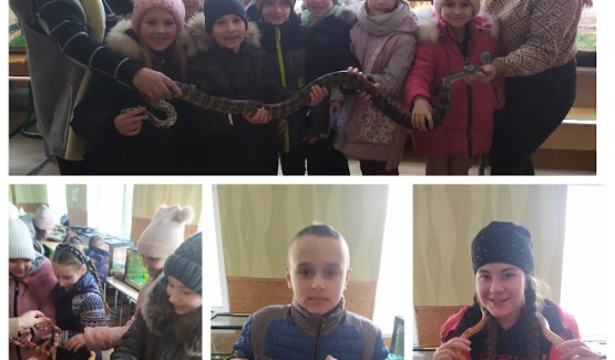 «Таємниче життя екзотичних тварин»