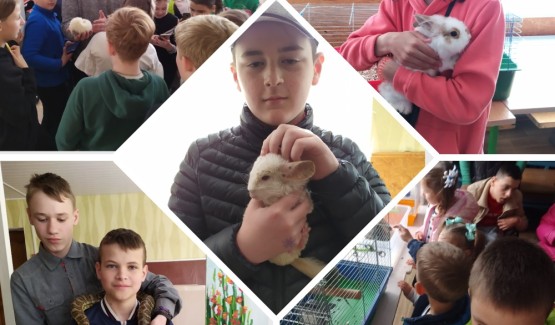 Урок доброти «Пухнаста вечірка»