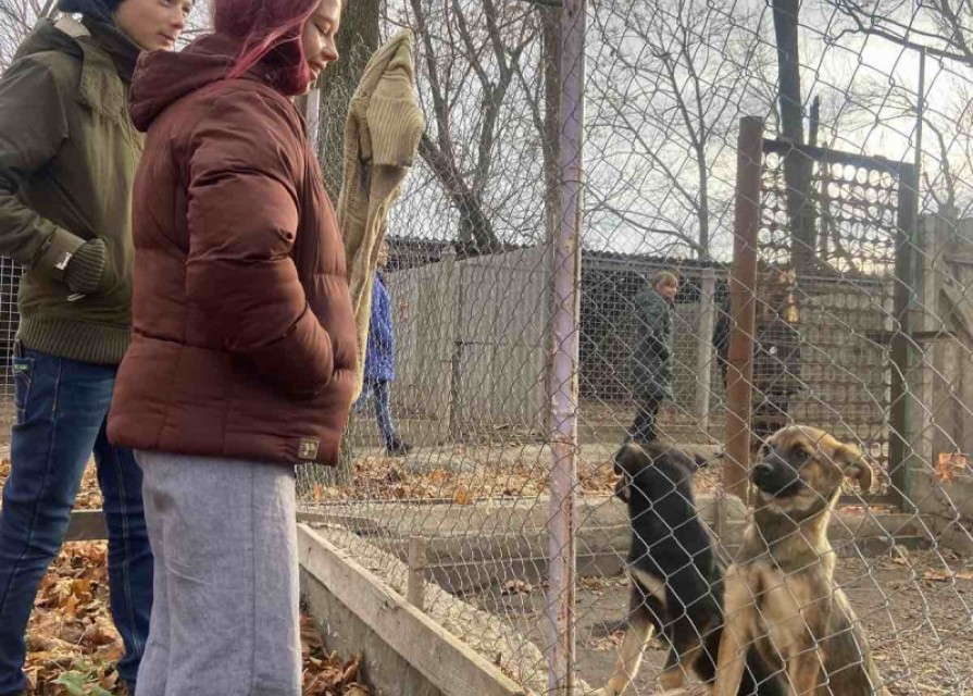 Учні 8 та 9 класу, відвідали притулок для тварин «Планета» у м. Вінниця.