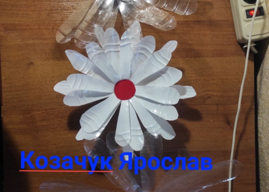 Поробки учнів 9 кл. за темою: "Друге життя старим речам"Вч.Андрущенко В.В.