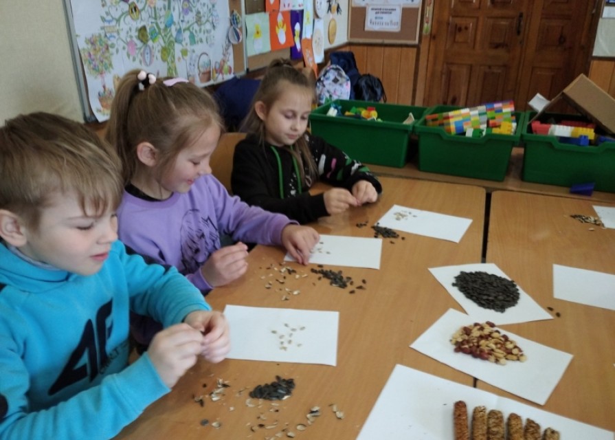 Як народжується олія? Які лікарські рослини ростуть біля нашої гімназії?