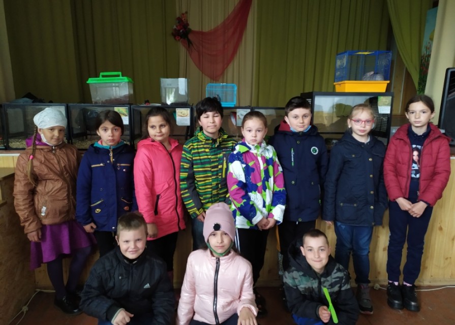 У світі живої природи