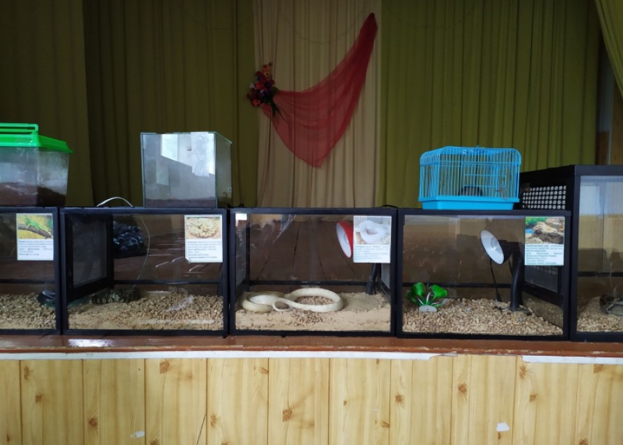 У світі живої природи