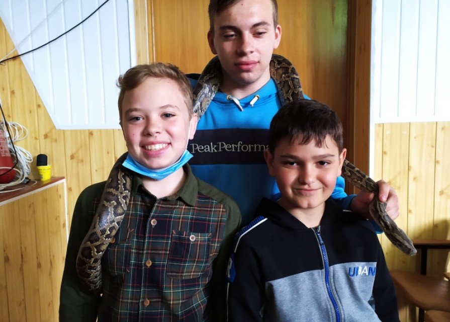 У світі живої природи