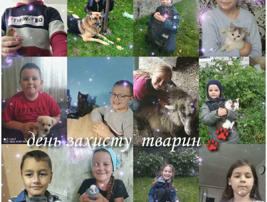 4 жовтня – Всесвітній день захисту тварин