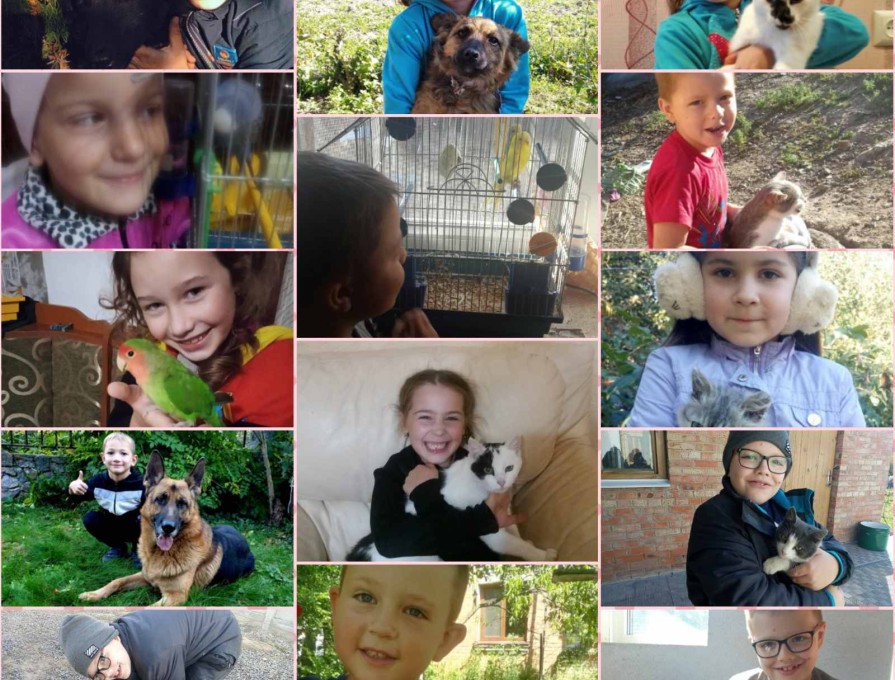 До Міжнародного дня доброти проведено урок "Щаслива лапа". Здобувачі освіти презентували світлини зі своїми улюбленцями