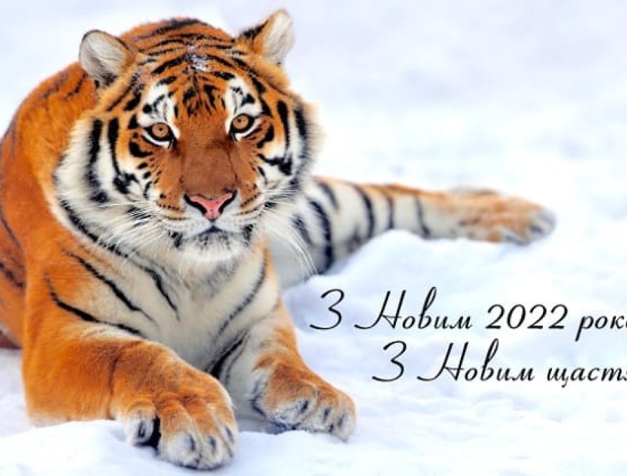З Новим 2022 роком!